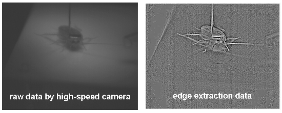 Information Extractin Results from High-Speed Video Images