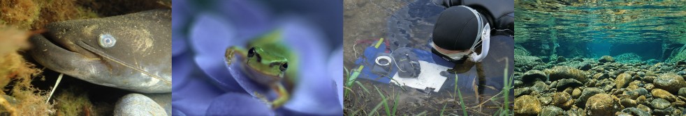 An image of Ecological Research