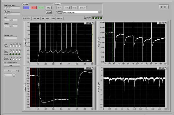 電気生理学的信号計測用ソフトウェアの作成例