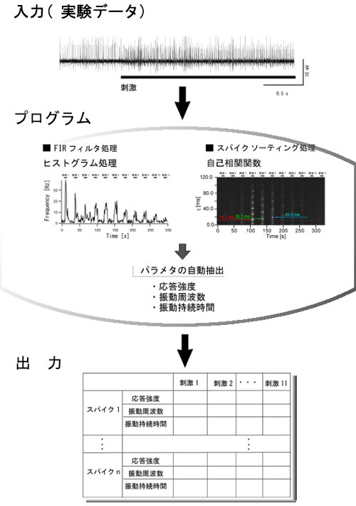 スパイク情報の刺激応答性評価