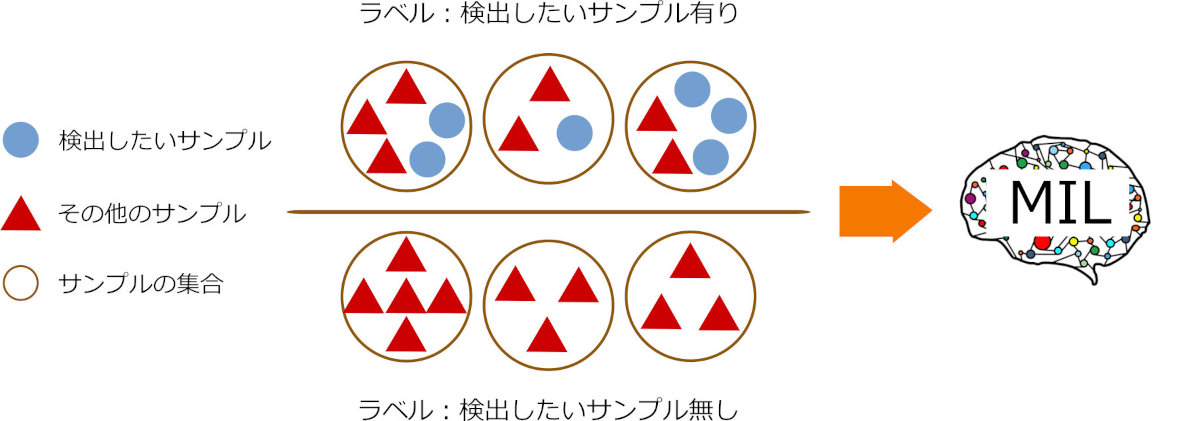 標準的な Multiple Instance Learning の概略図